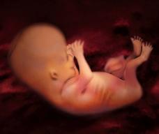 怀孕89天胎儿图